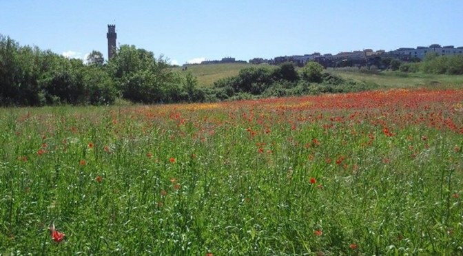 Alleanza Verdi Sinistra, a fianco dei comitati per salvare la Valle della Cecchignola
