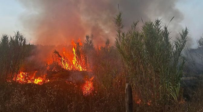 INCENDI A ROMA, GUALTIERI: DISCARICHE ABUSIVE PRIVATE, LE AUTORITÀ CI AIUTINO A BONIFICARE